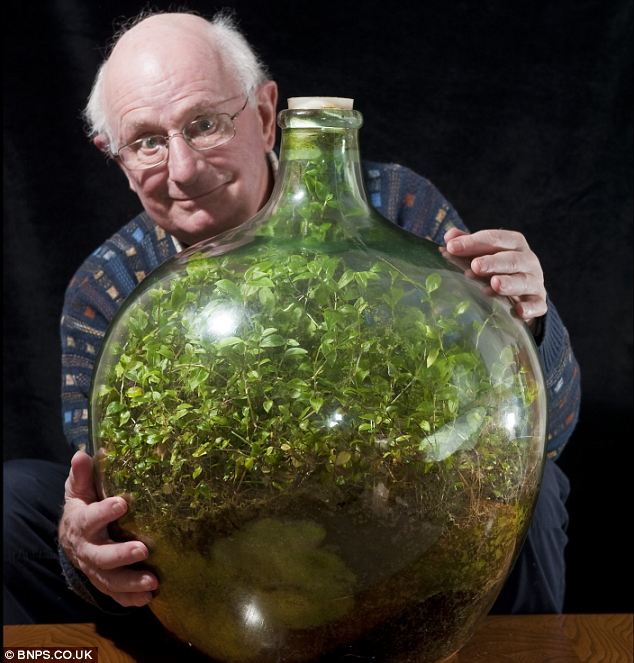 What’s the Longest Living Terrarium? (And How to Make Yours Thrive for Years)