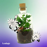 Terrarium Starter Kit for One H20 x D10cm Terrarium DIY Kit