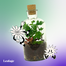 Load image into Gallery viewer, Baby Terrarium Starter Kit
