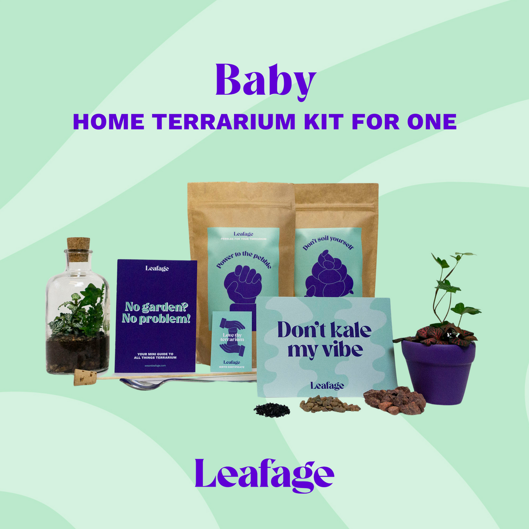 Baby Terrarium Starter Kit