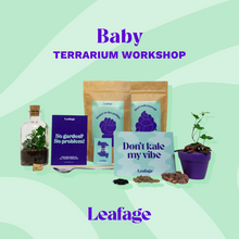 Load image into Gallery viewer, Baby Terrarium Workplace Workshop
