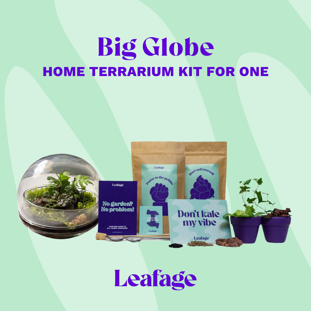 Globe Terrarium Starter Kit