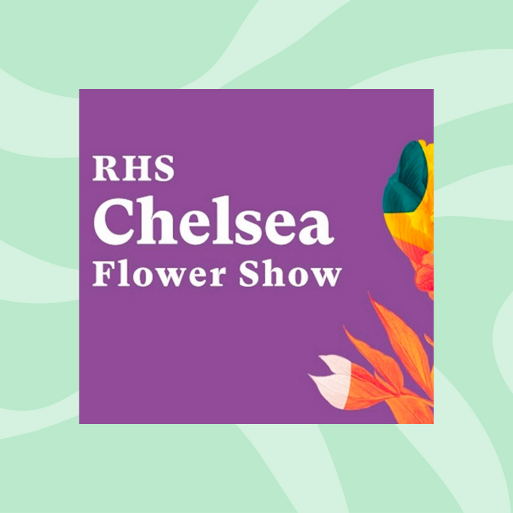 RHS Chelsea Flower Show - Public Wildflower Seed Bomb Workshop
