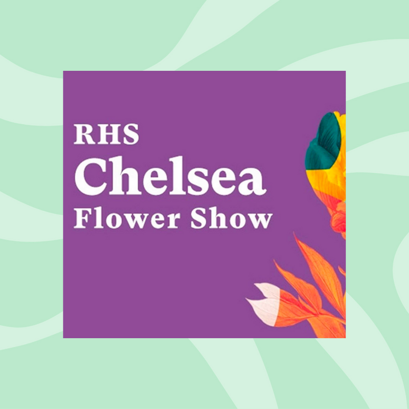 RHS Chelsea Flower Show - Seed Bomb Workshop