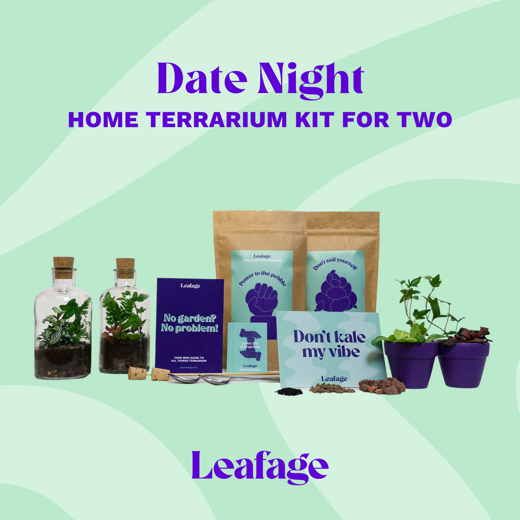 Baby Date Night Home Terrarium Kit for Two