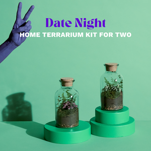 Baby Date Night Home Terrarium Kit for Two