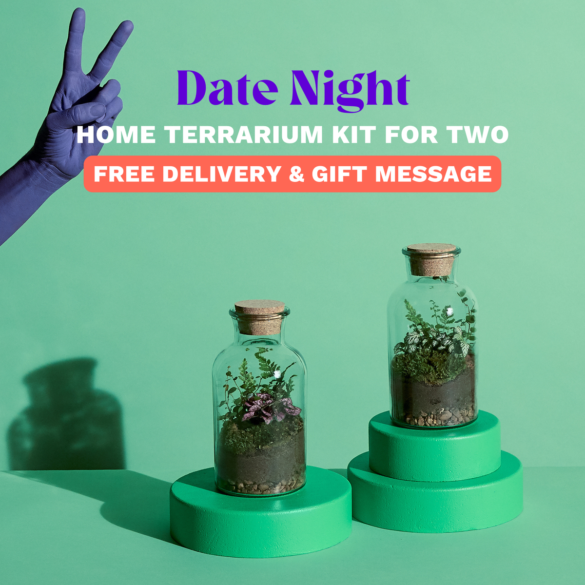 The Date Night Terrarium Kit