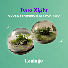 Load image into Gallery viewer, Globe Date Night Home Terrarium Kit for Two
