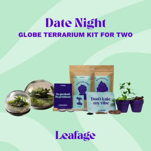 Globe Date Night Home Terrarium Kit for Two