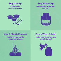 Terrarium Starter Kit for One Terrarium DIY Kit
