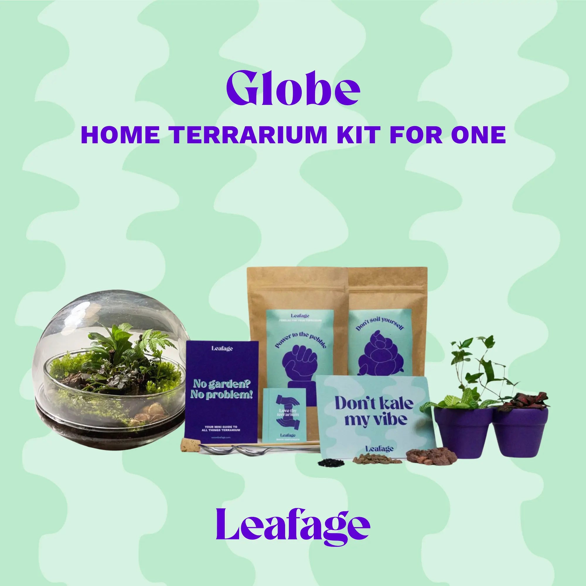 Round glass globe terrarium flatlay, lush with tropical plants and moss, sitting beside the kit’s soil and pebbles