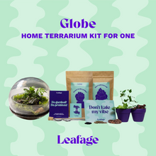 Load image into Gallery viewer, Globe Terrarium Starter Kit
