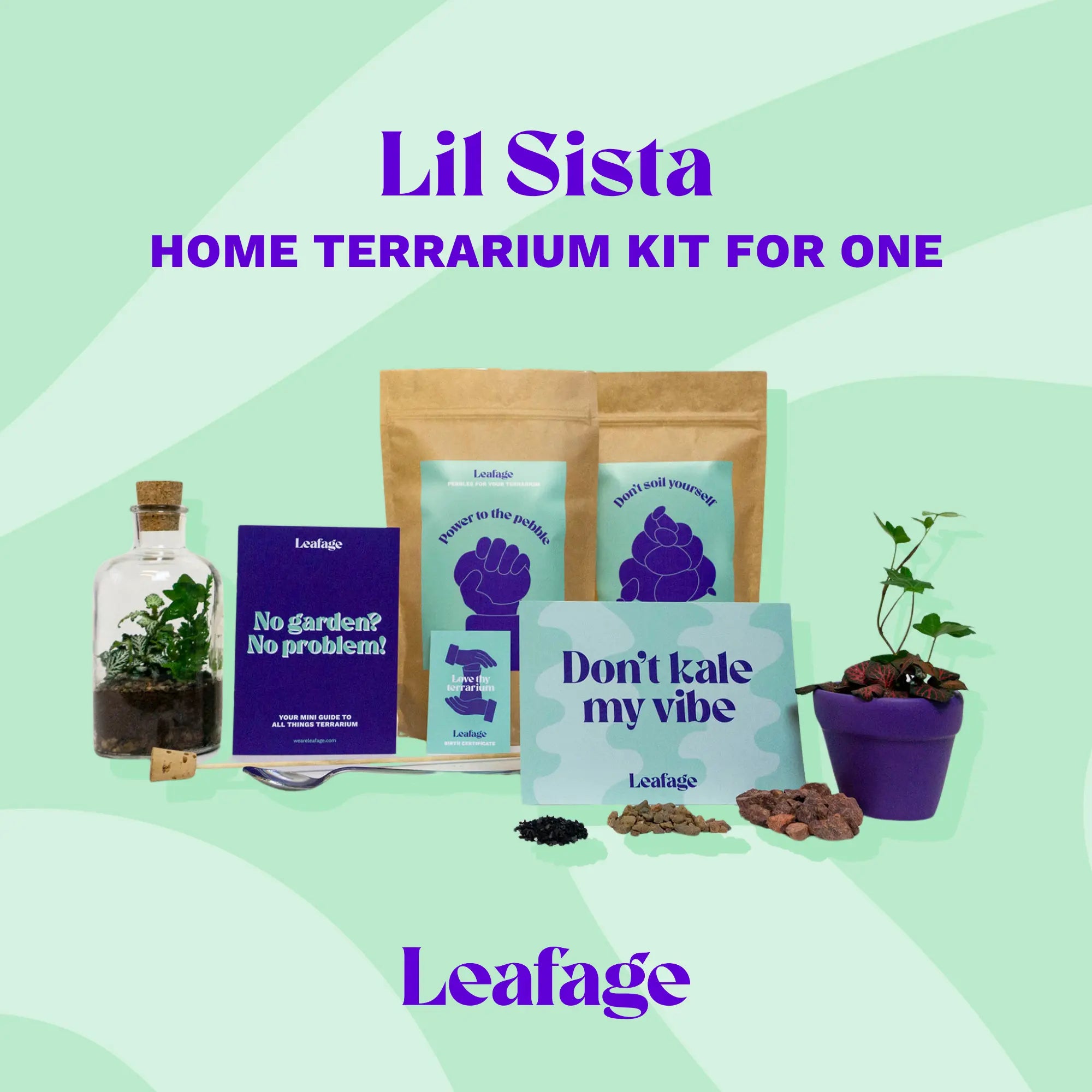 Single glass terrarium jar with fern and fittonia plants beside kit components—soil, moss, and mini purple pot. 