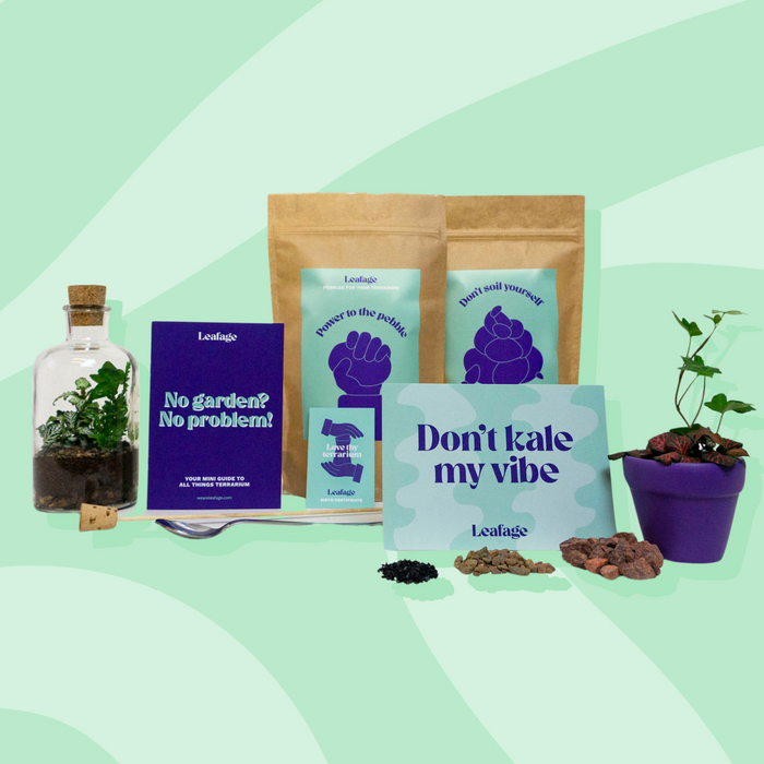Solo Self-Care Kit