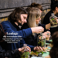 Date Night Home Terrarium Kit for Two
