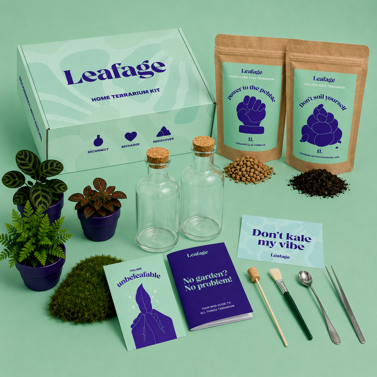 The Date Night Terrarium Kit
