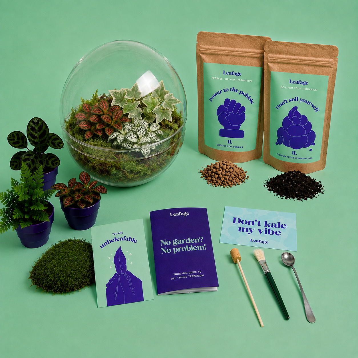 Globe Terrarium Starter Kit