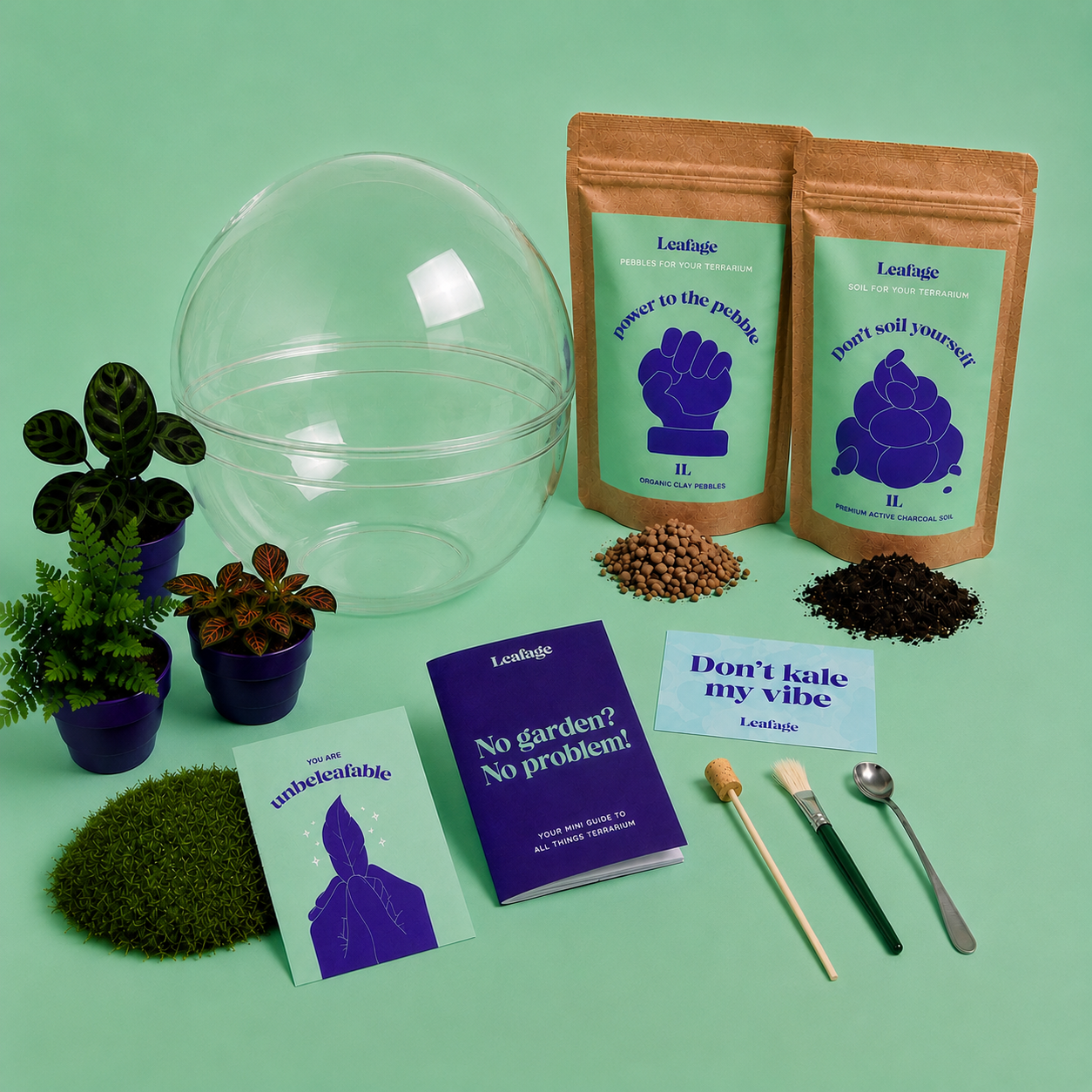 Globe Terrarium Starter Kit