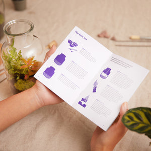 Baby Terrarium Kit