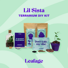 Load image into Gallery viewer, Lil Sista Terrarium DIY Kit
