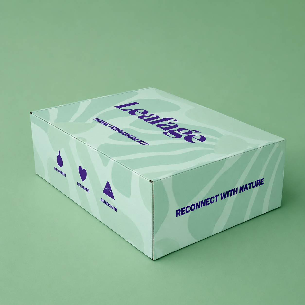 Leafage Gift Box for DIY Terrarium Kits