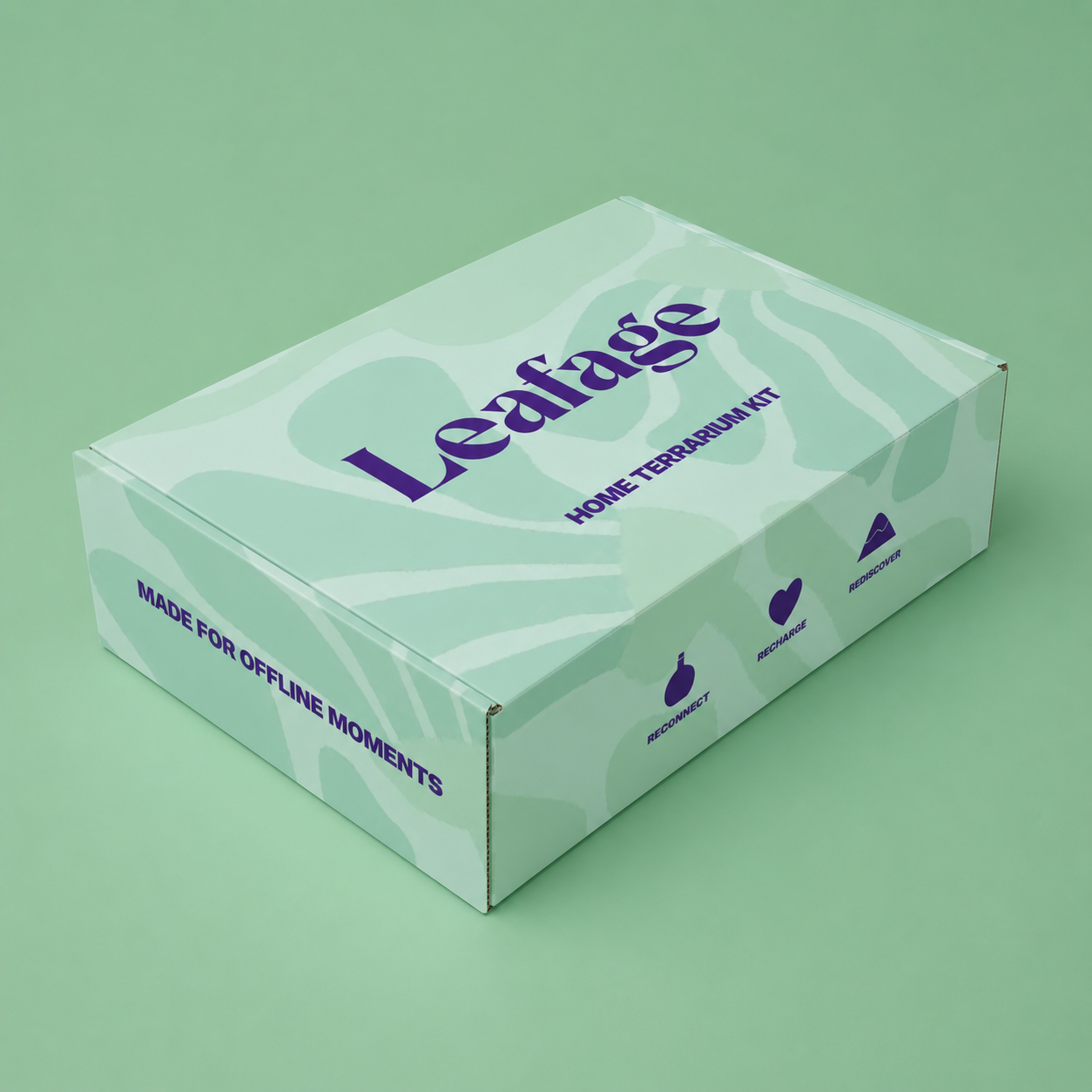 Leafage Gift Box for DIY Terrarium Kits