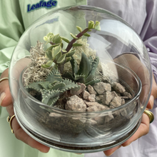 Load image into Gallery viewer, Globe Terrarium Private Workshop
