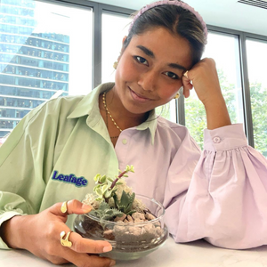 Globe Terrarium Workplace Workshop