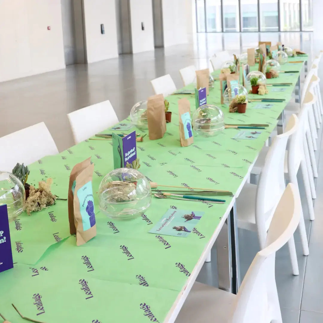 Globe Terrarium Workplace Workshop Globe Tropical & Desert Terrarium