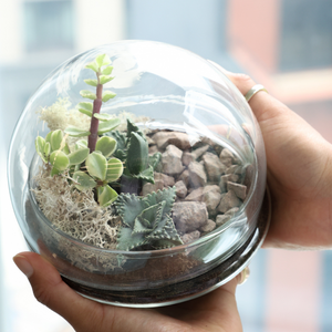 Globe Terrarium Private Workshop