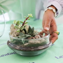 Load image into Gallery viewer, Globe Terrarium Workplace Workshop
