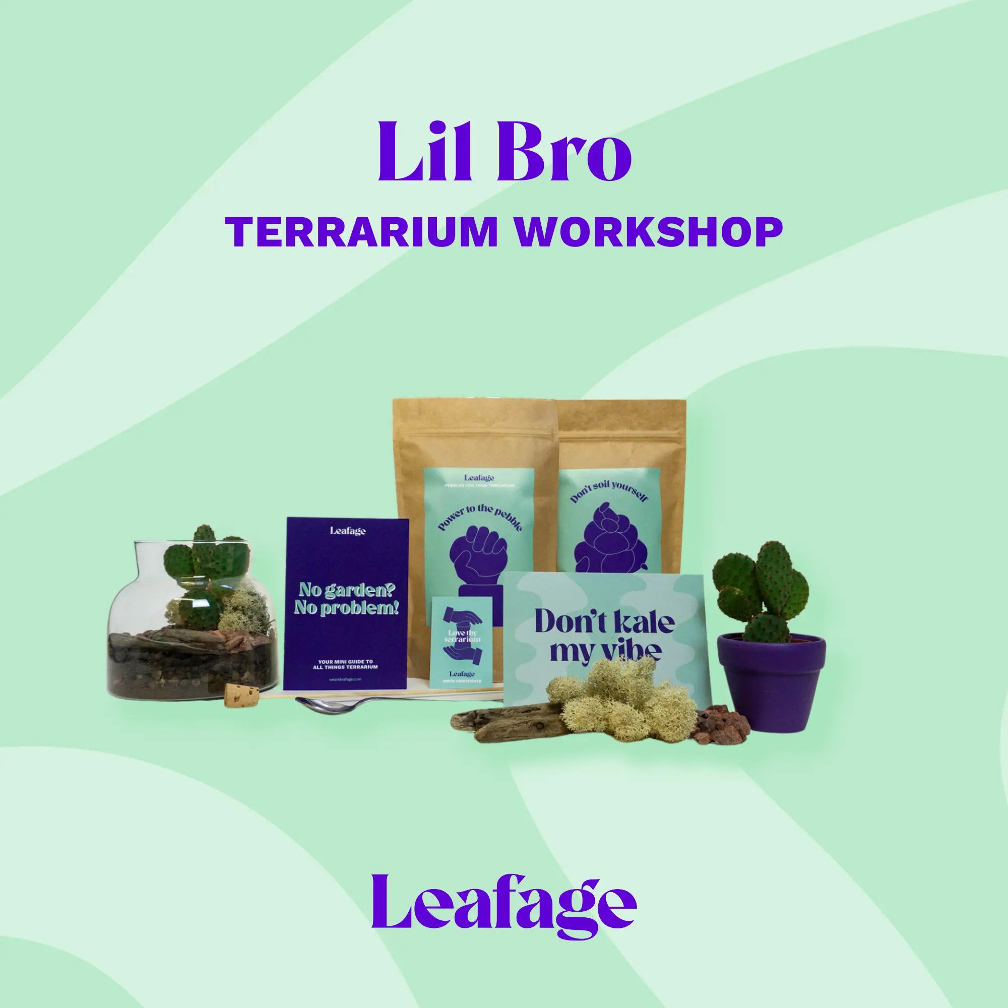 Lil Bro Terrarium Workplace Workshop 15cm Desert Terrarium