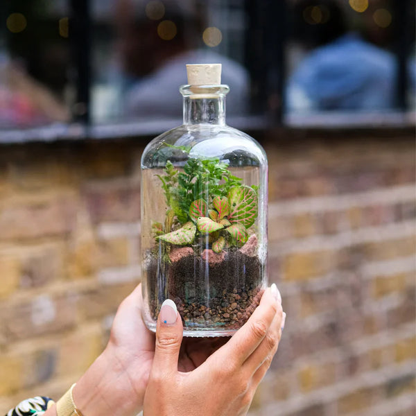 Leafage corporate event finished terrarium 5
