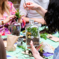 Lil Sista Terrarium Workplace Workshop 20 x 10cm Tropical Terrarium