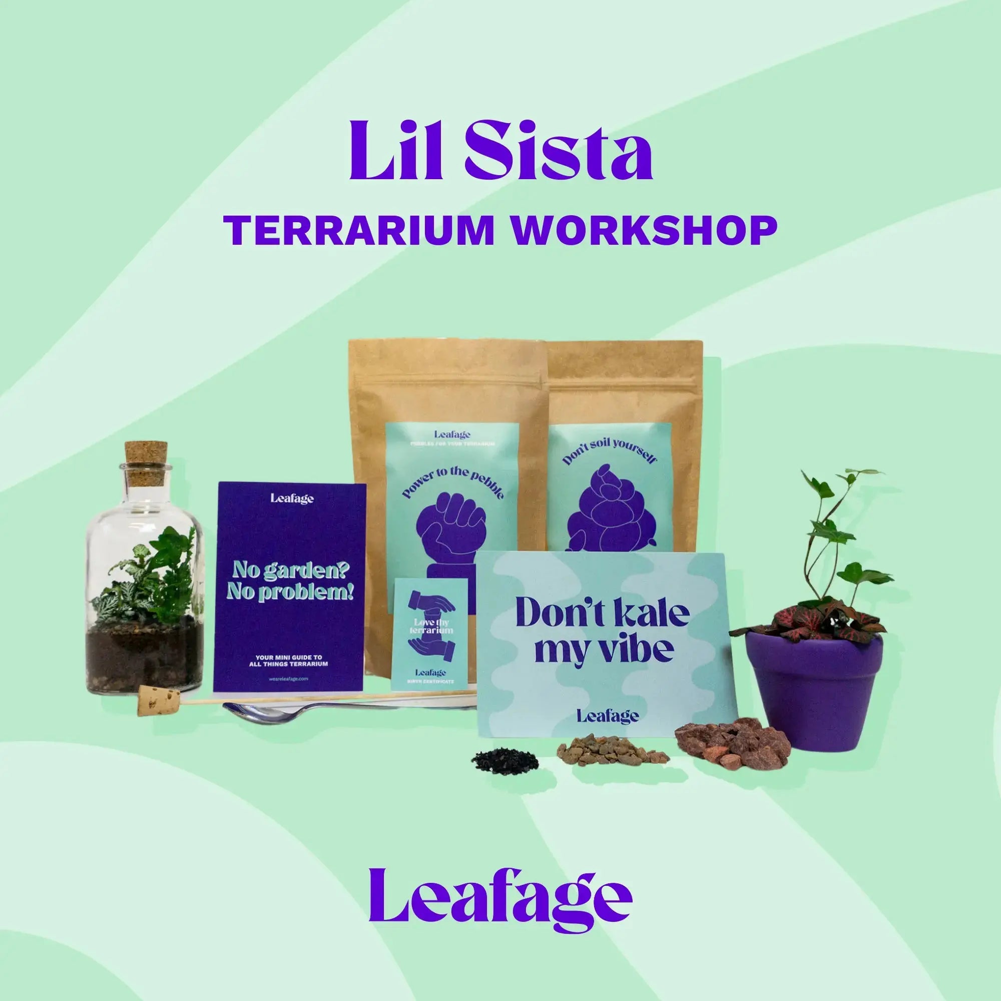 Lil Sista Terrarium Workplace Workshop 20 x 10cm Tropical Terrarium