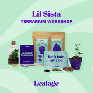 Lil Sista Terrarium Workplace Workshop