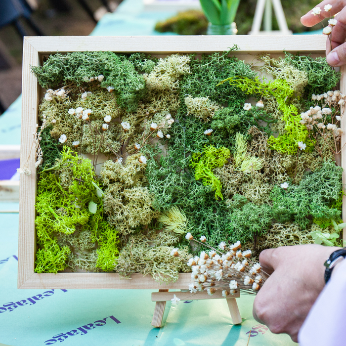 Sustainable Moss Frames