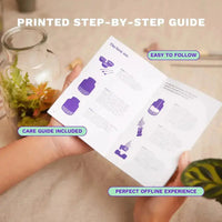 Terrarium Starter Kit for One Terrarium DIY Kit
