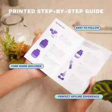 Load image into Gallery viewer, Terrarium Starter Kit for One Terrarium DIY Kit
