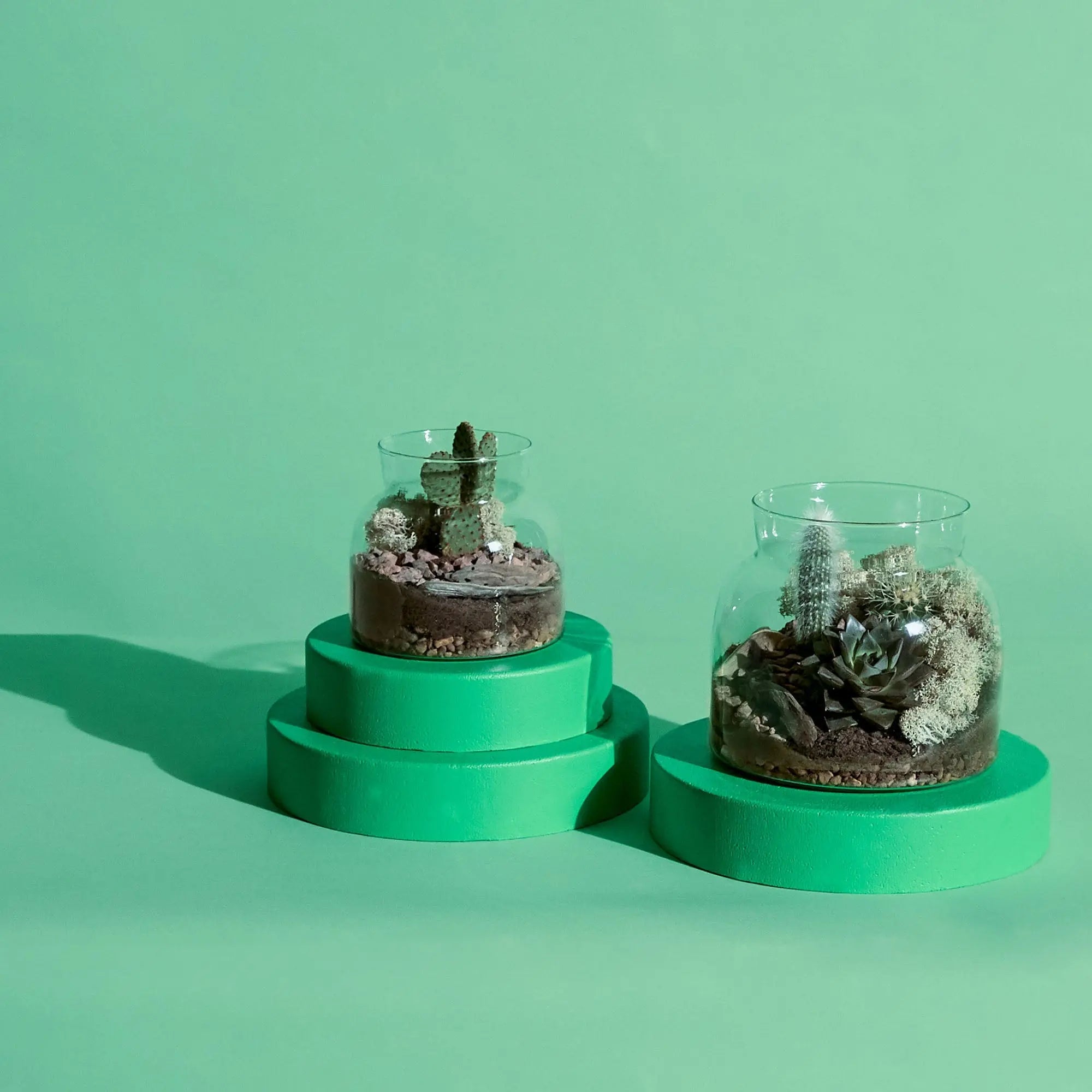 Lil Bro Terrarium Workplace Workshop 15cm Desert Terrarium