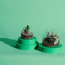 Load image into Gallery viewer, Lil Bro Terrarium Workplace Workshop

