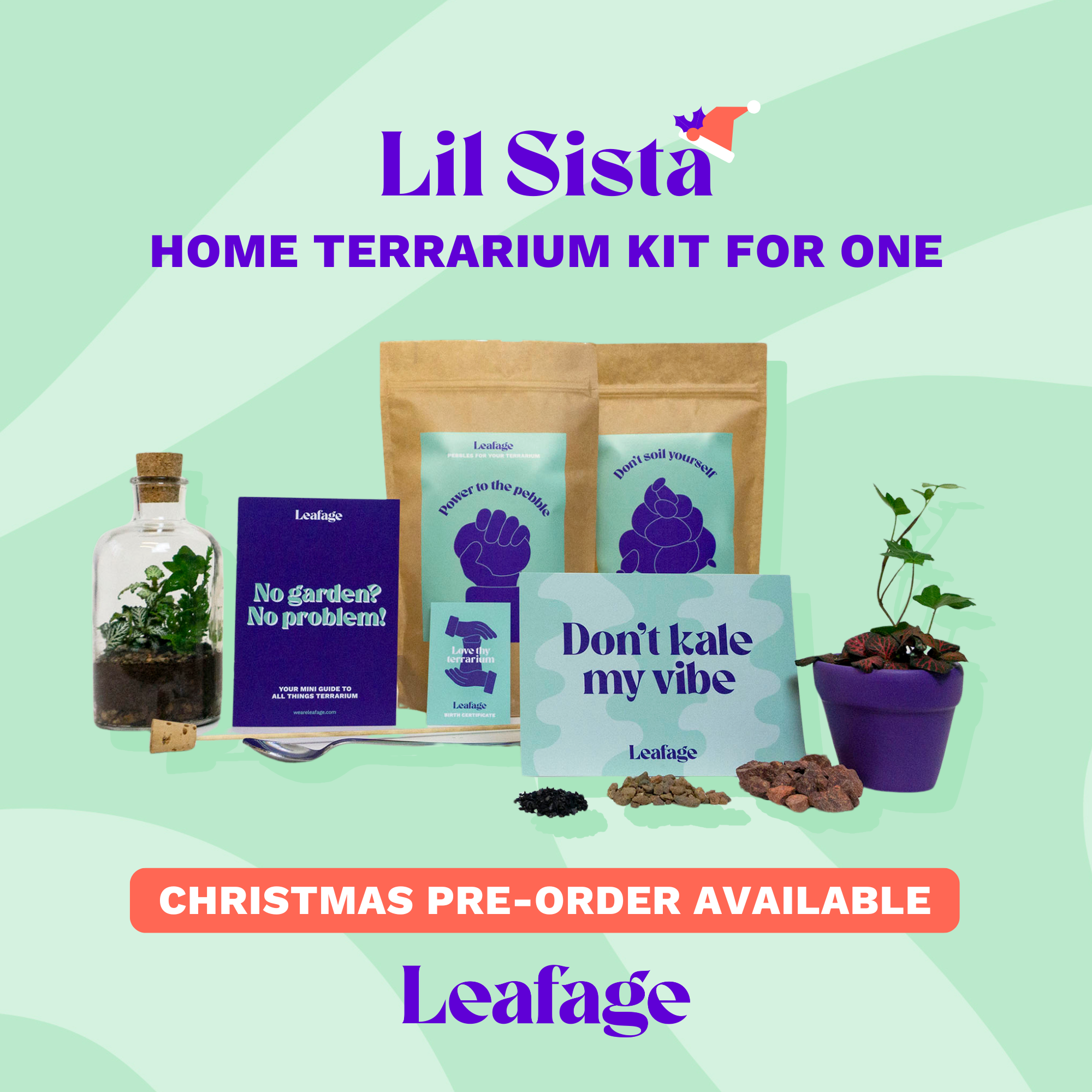 Terrarium Starter Kit for One