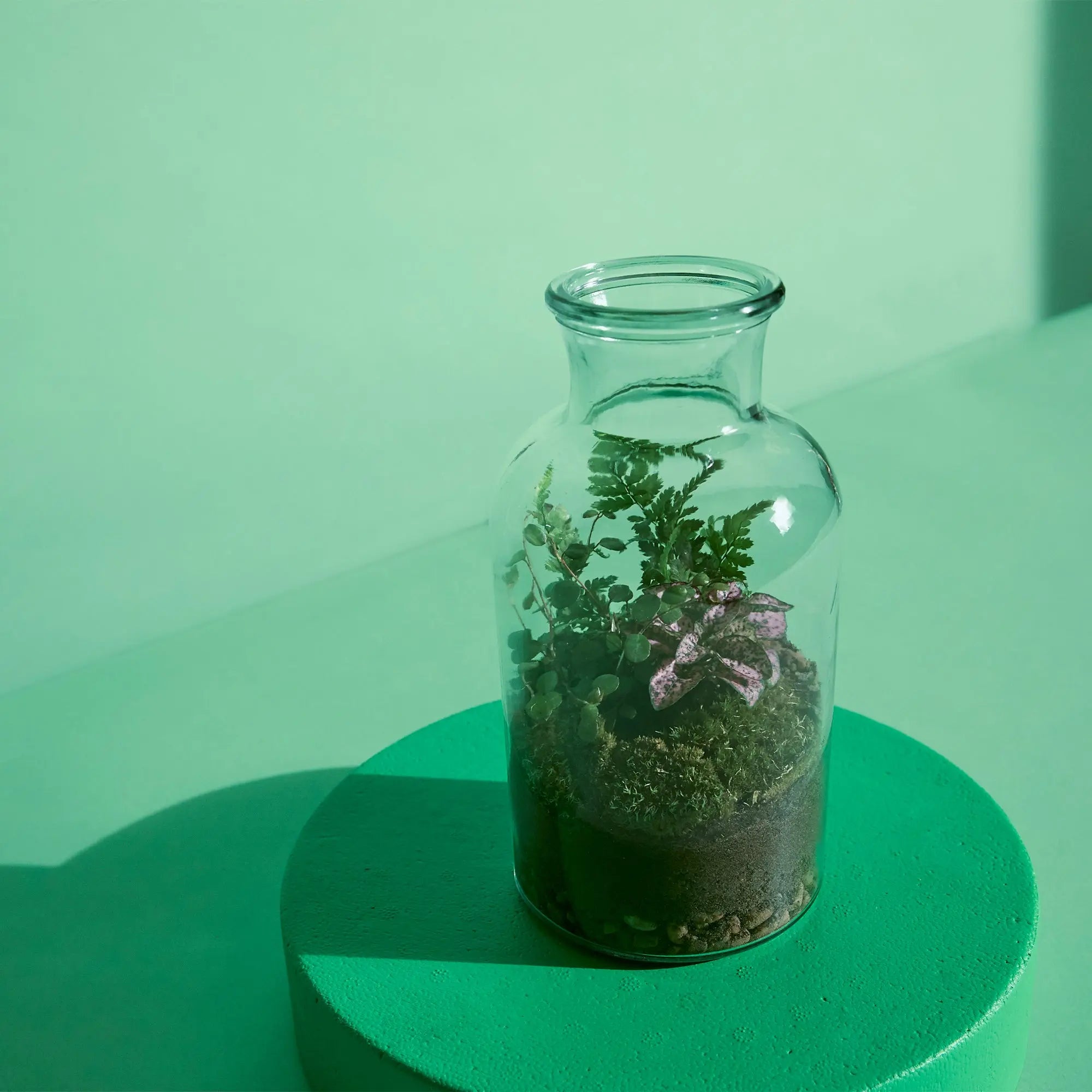 Straight Terrarium Tweezers - 27 cm Add on - Long Tweezers