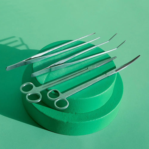 Curved Terrarium Scissors - 25 cm Add on
