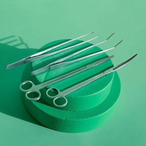 Curved Terrarium Tweezers - 27 cm Add on - Long Tweezers