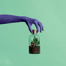 Load image into Gallery viewer, Lil Sista Terrarium Kit
