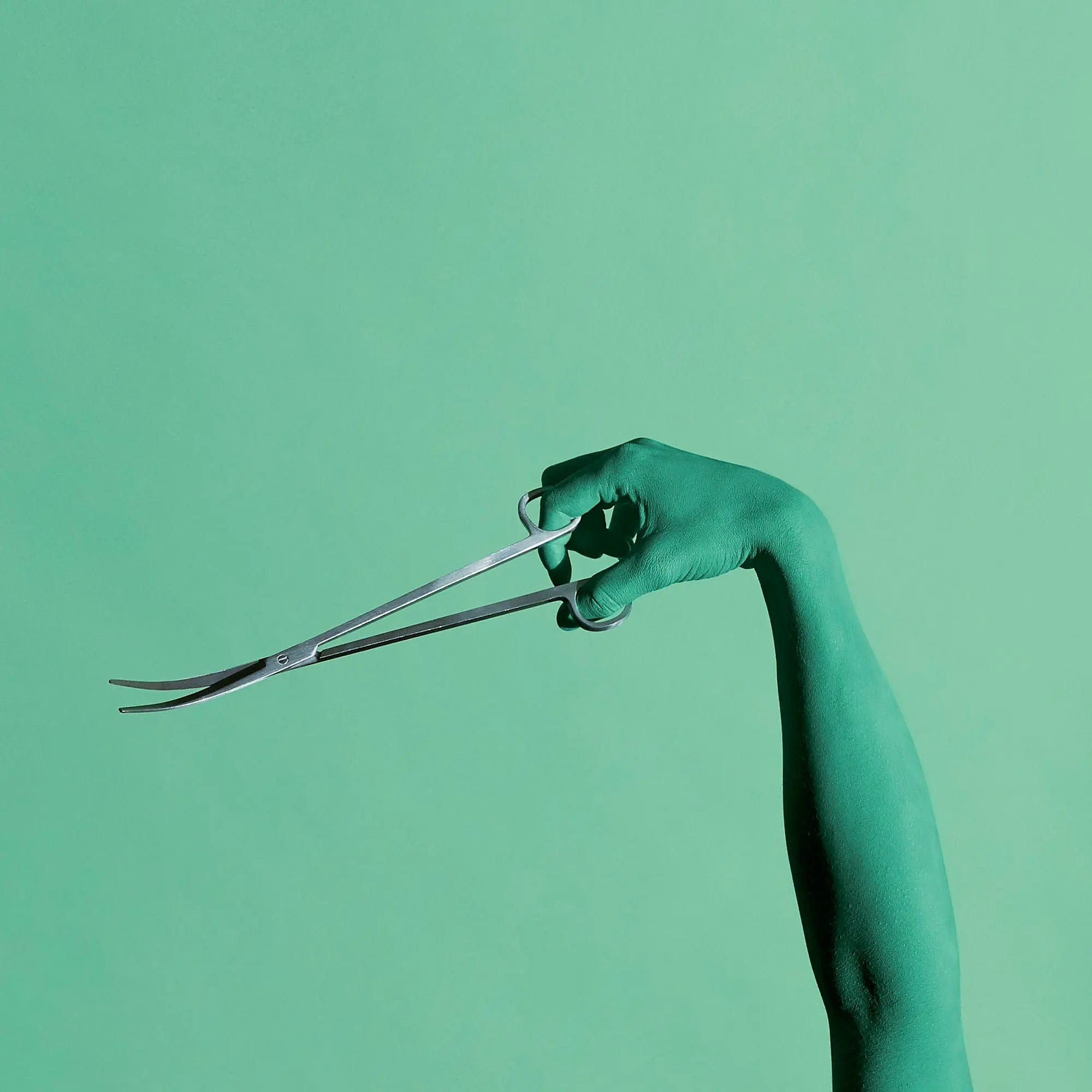 Curved Terrarium Scissors - 25 cm Add on