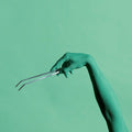 Curved Terrarium Tweezers - 27 cm Add on - Long Tweezers