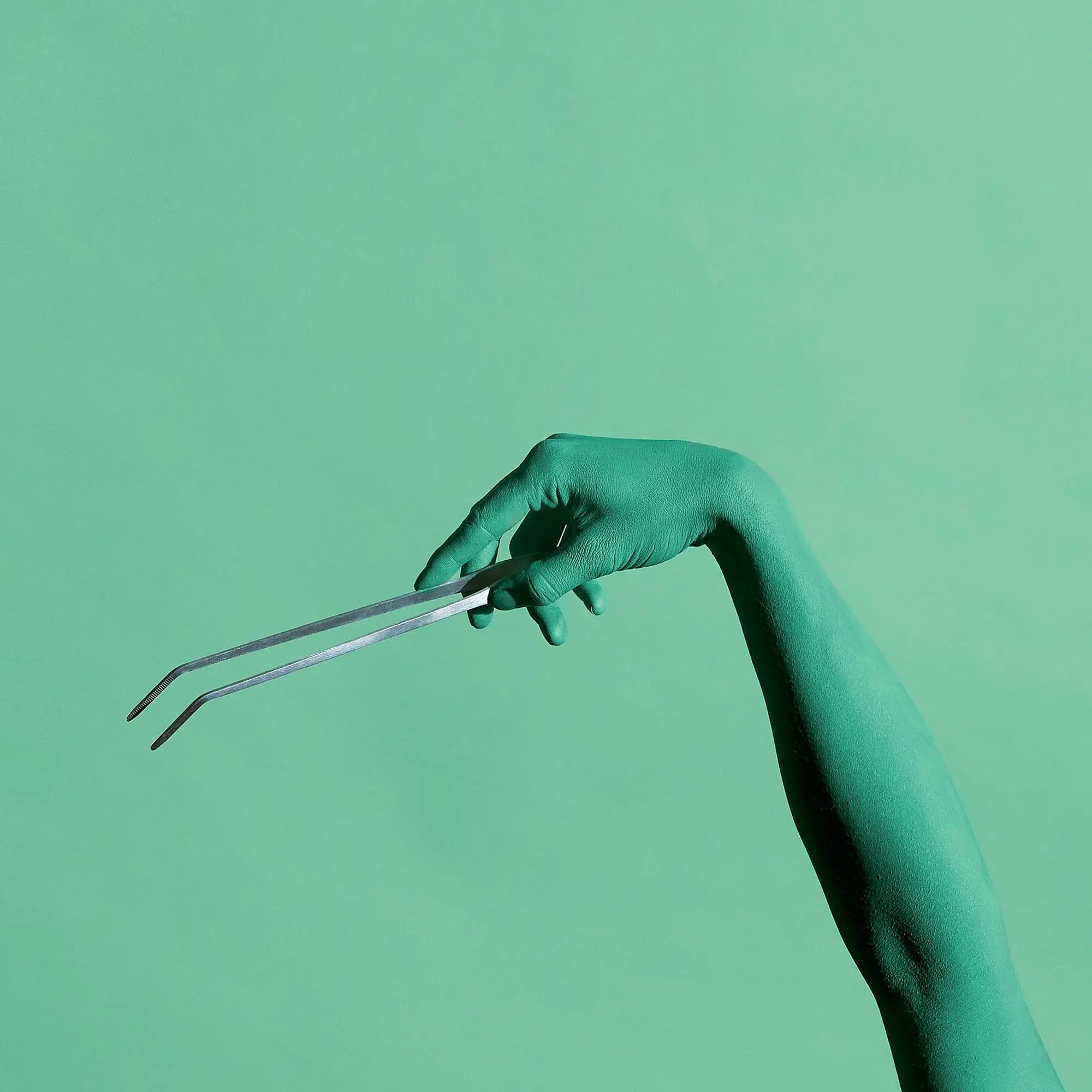 Curved Terrarium Tweezers - 27 cm Add on - Long Tweezers