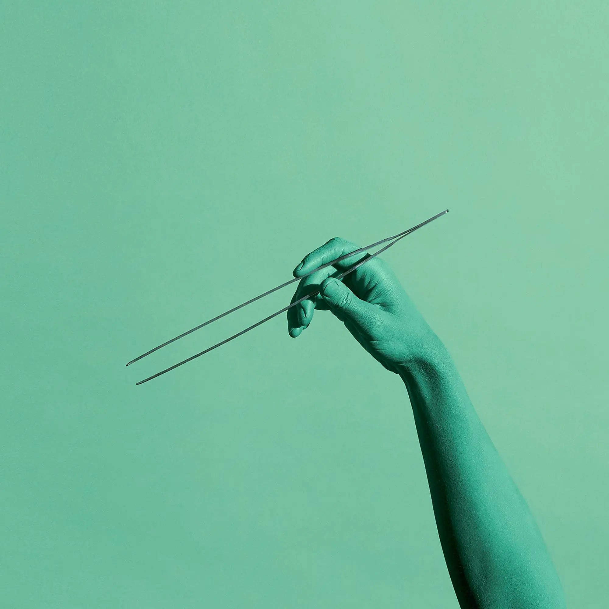 Straight Terrarium Tweezers - 27 cm Add on - Long Tweezers